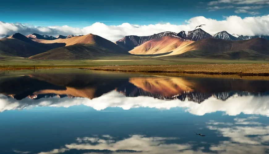 golden triangle tours India