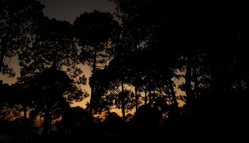 golden triangle tours India