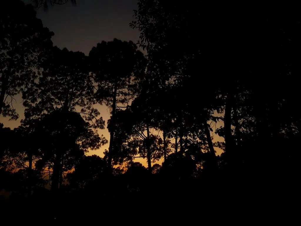 golden triangle tours India