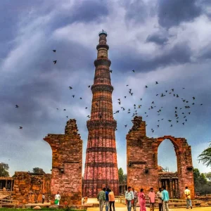 Full Day New and Old Delhi City Tour