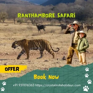golden-triangle-tour-with-ranthambore