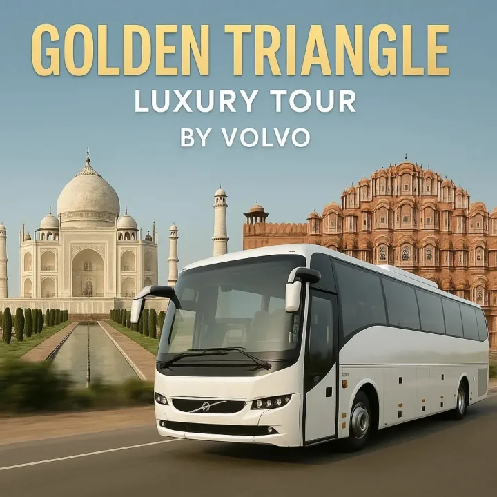 Golden Triangle Luxury Tour by Volvo
