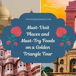 Must-Visit-Places-and-Must-Try-Foods-on-a-Golden-Triangle-Tour