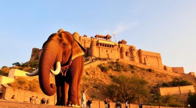 amber-fort ci