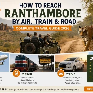 How to Reach Ranthambore National Park
