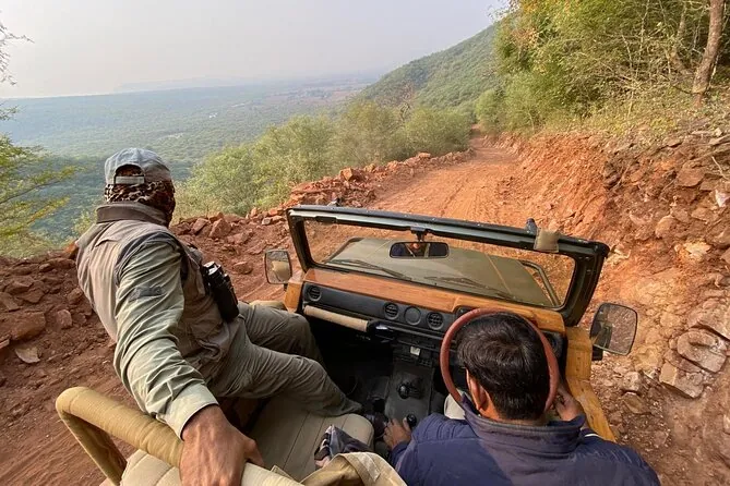 4-day-golden-triangle-tour-ranthambore